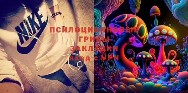 стафф Магадан
