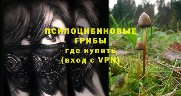 стафф Магадан