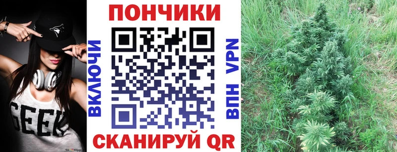 Каннабис план  Павловск 